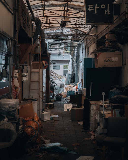 A cluttered outdoor area filled with various discarded household items and debris located in a backyard or alleyway, with a large tree with leafy branches extending overhead. Visible objects include b